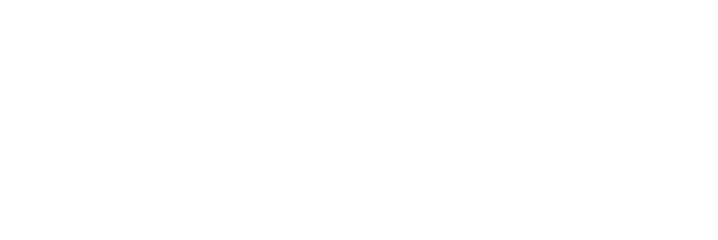 bproauto logo